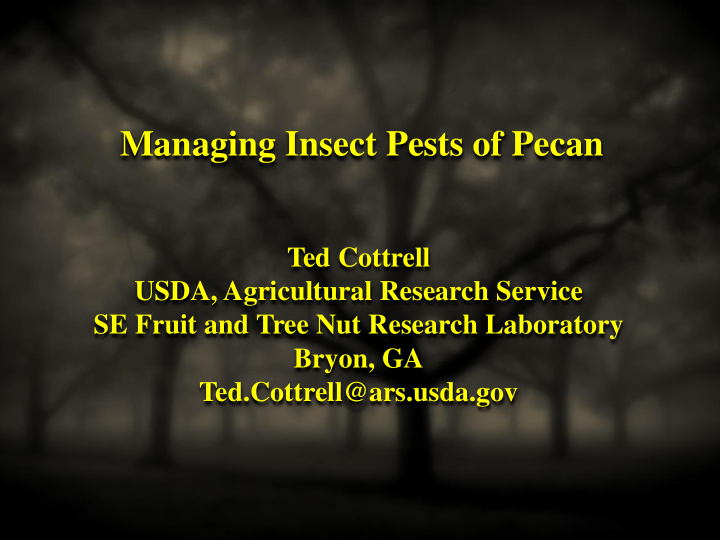 managing insect pests of pecan