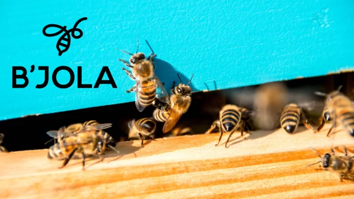 ukrainian producer and exporter of high quality honey