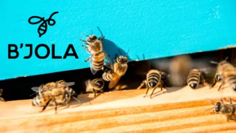 Ukrainian producer and exporter of high quality honey 2015  Foundation of B`JOLA. Mobile