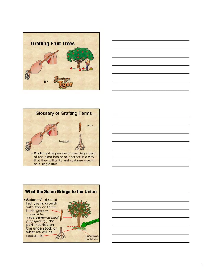 grafting fruit trees grafting fruit trees