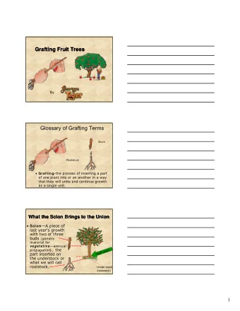 Grafting Fruit Trees  Grafting Fruit Trees  By  Glossary of Grafting Terms  Scion  Rootstock