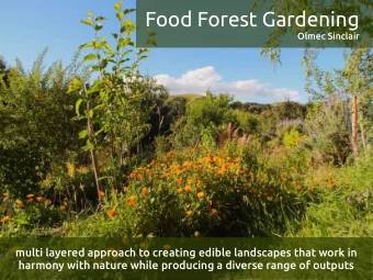 Food Forest Gardening  Olmec Sinclair  multi layered approach to creating edible landscapes that