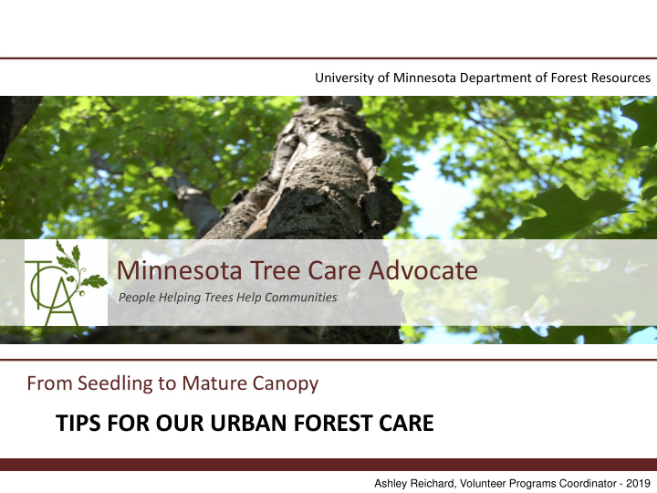 minnesota tree care advocate