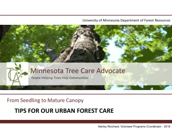 Minnesota Tree Care Advocate  People Helping Trees Help Communities  From Seedling to Mature Canopy