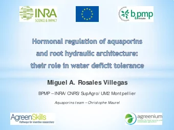 Miguel A. Rosales Villegas  BPMP   INRA/ CNRS  / S  upAgro/ UM2 Montpellier  Aquaporins t eam