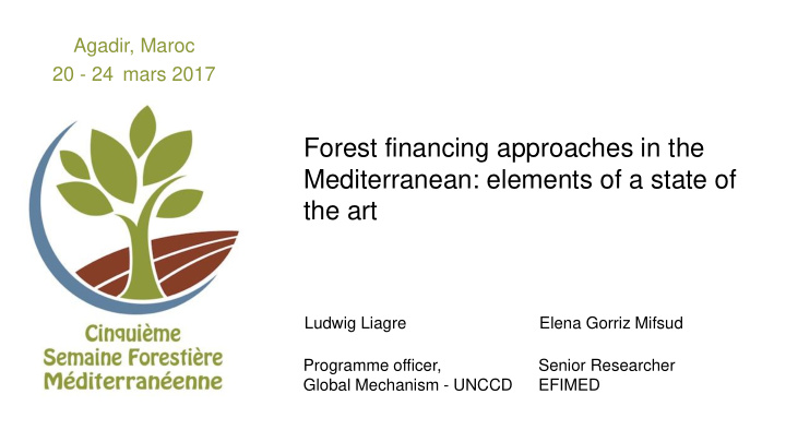 forest financing approaches in the mediterranean elements