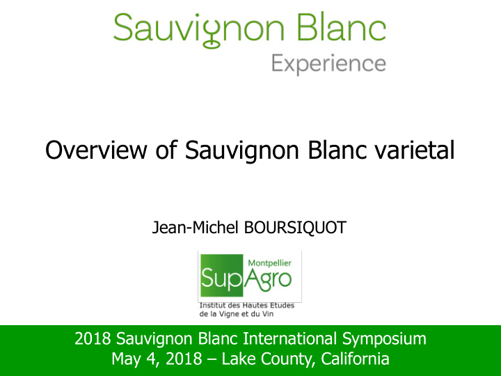 overview of sauvignon blanc varietal