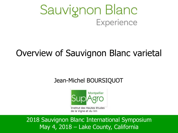 overview of sauvignon blanc varietal