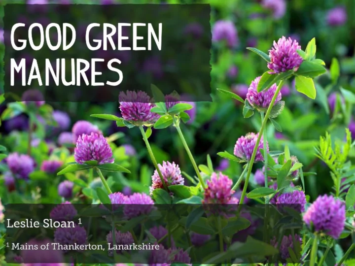 crops grown with the intention that they will