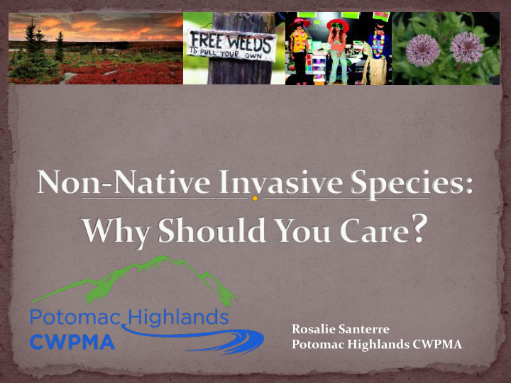 potomac highlands cwpma are all non native species
