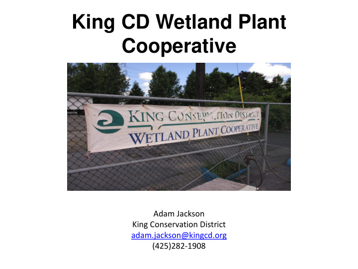 king cd wetland plant