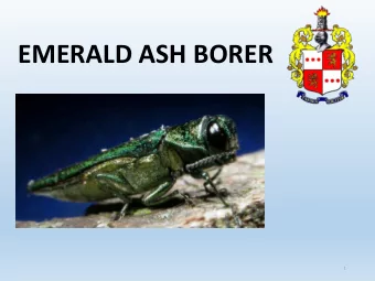 EMERALD ASH BORER  1  INTRODUCTION  Freeholder Deborah Smith  2  Richard Wolowicz      NJ