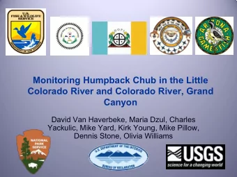 Monitoring Humpback Chub in the Little  Colorado River and Colorado River, Grand  Canyon  David Van