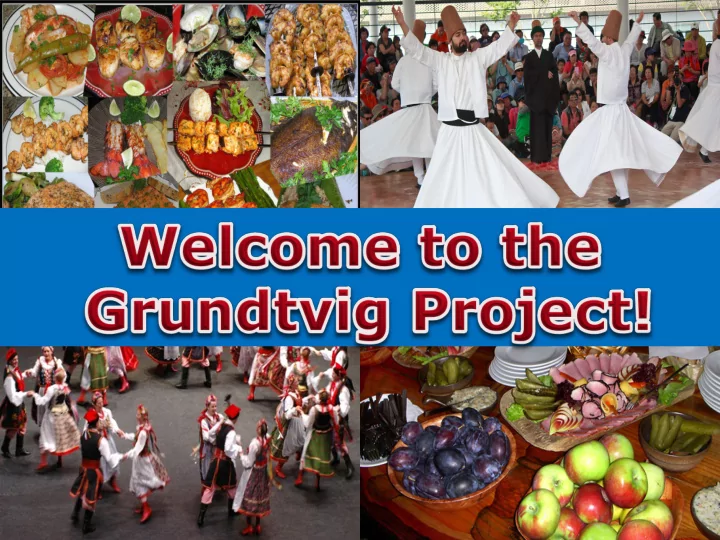 what is the grundtvig project