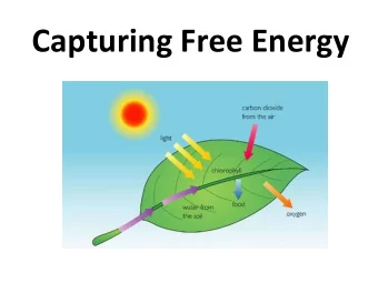 Capturing Free Energy  Capture and Store Free Energy  Autotrophs : capture free energy from the