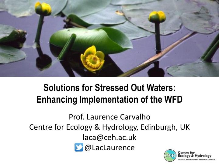 solutions for stressed out waters enhancing