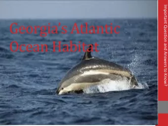 Georgias Atlantic  Ocean Habitat  How would you describe the Atlantic Ocean habitat?  The