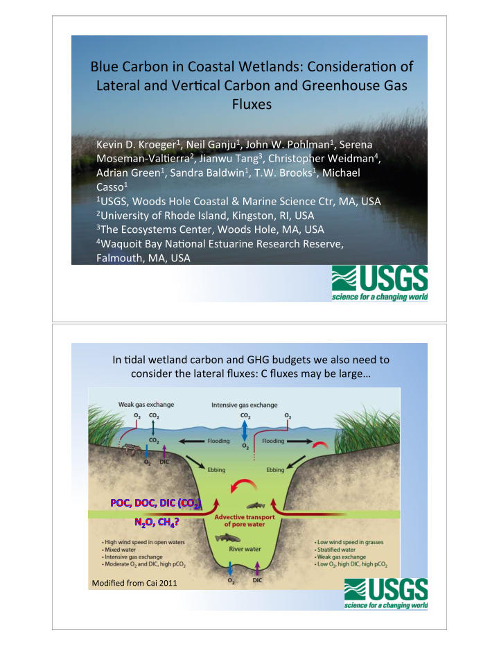 blue carbon in coastal wetlands considera on of lateral