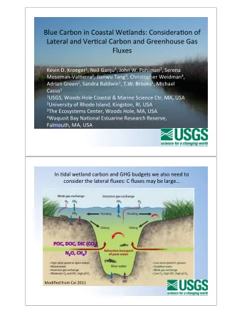 Blue&amp;Carbon&amp;in&amp;Coastal&amp;Wetlands:&amp;Considera&gt;on&amp;of&amp;