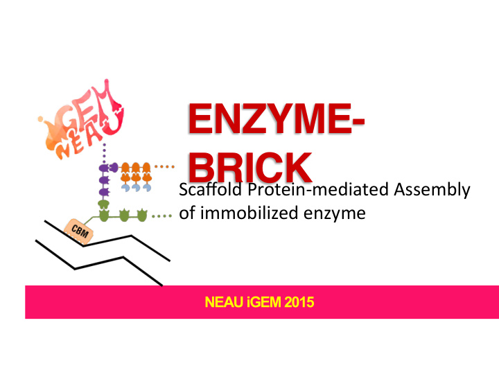 enzyme brick