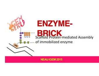 ENZYME-  BRICK  Scaffold  Protein-mediated  Assembly   of  immobilized  enzyme