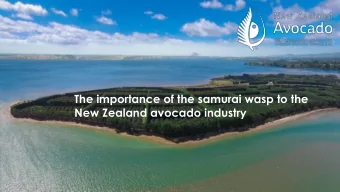 The importance of the samurai wasp to the  New Zealand avocado industry  Increasing industry value