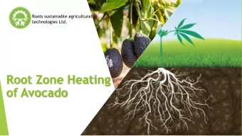 Root Zone Heating  of Avocado  Roots - Sustainable Agricultural Technologies  Israeli-based and