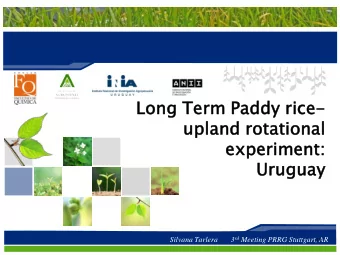 upland  nd rotati  tional  onal  experiment  iment:  Uruguay  uay 3 rd Meeting PRRG Stuttgart, AR