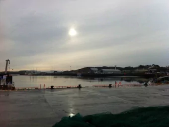 And  then  there  is  the  sense  that  in  spite  of