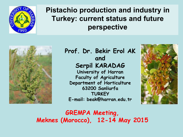 pistachio production and industry in