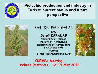 Pistachio production and industry in  Turkey: current status and future perspective  Prof. Dr.
