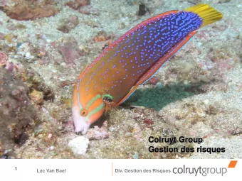 Gestion des risques  1  Luc Van Bael  Div. Gestion des Risques  Contenu de la prsentation  1.