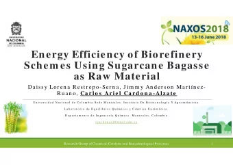 Energy Efficiency of Biorefinery  Schem es Using Sugarcane Bagasse  as Raw Material  Daissy Lor en