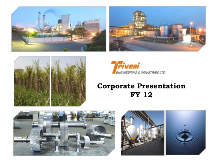 corporate presentation fy 12 triveni organisation