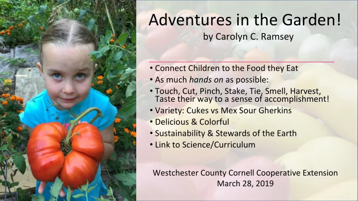 adventures in the garden