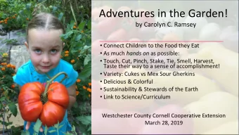 Adventures in the Garden!  by Carolyn C. Ramsey  Connect Children to the Food they Eat  As
