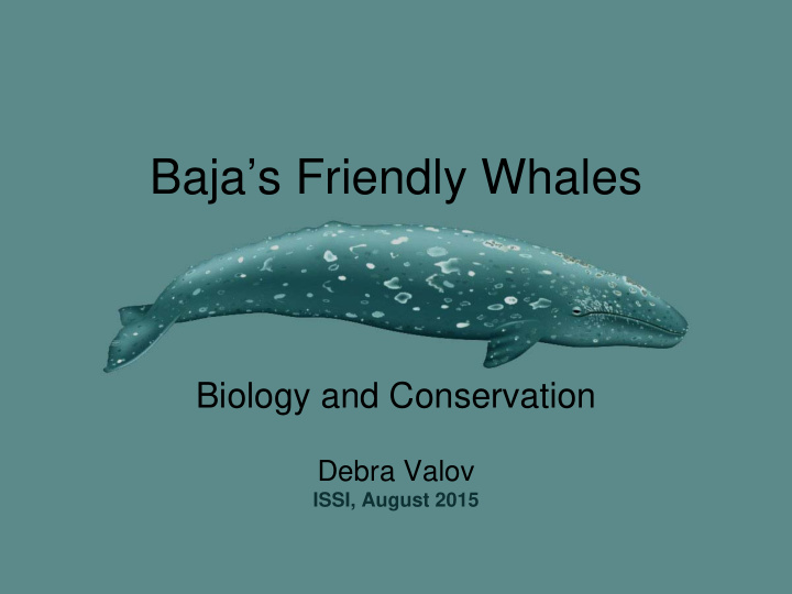 baja s friendly whales