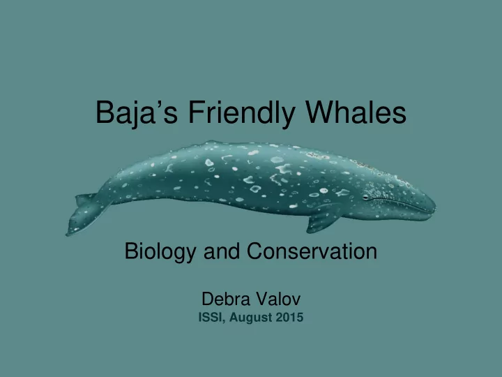 baja s friendly whales