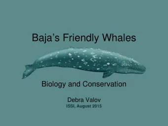 Bajas Friendly Whales  Biology and Conservation  Debra Valov  ISSI, August 2015  Introduction