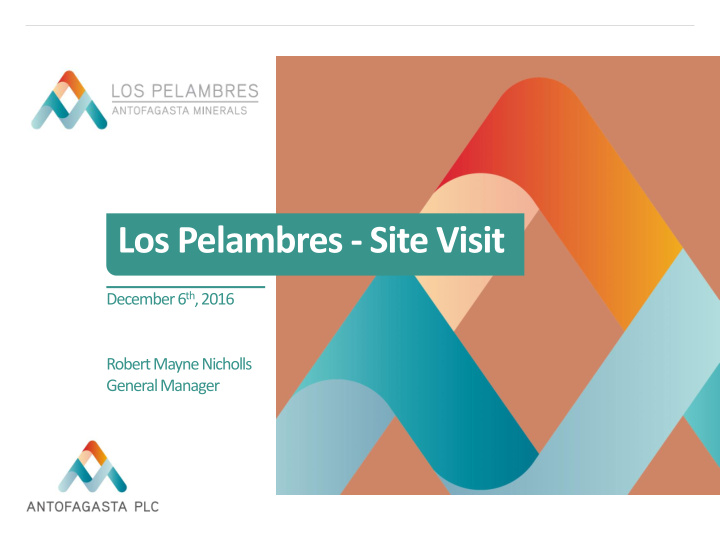 los pelambres site visit