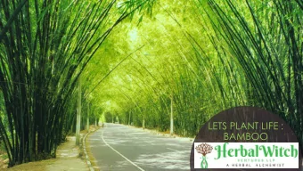 LETS PLANT LIFE :  BAMBOO  Bamboo  Products  Forestry  Erosion Control  Soil Stabilization