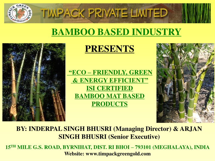 bamboo based industry presents