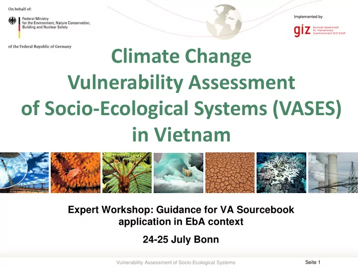 of socio ecological systems vases