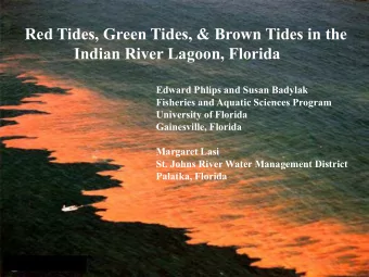 Red Tides, Green Tides, &amp; Brown Tides in the  Indian River Lagoon, Florida  Edward Phlips and
