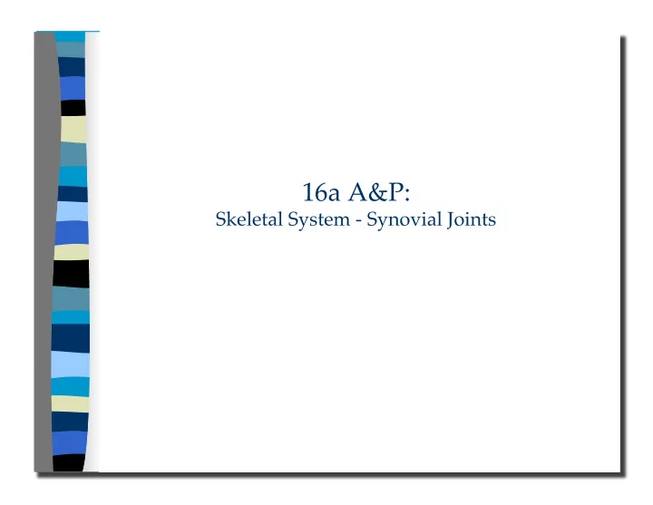 skeletal system synovial joints 16a a amp p skeletal