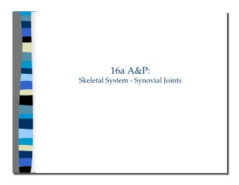 Skeletal System - Synovial Joints 16a A&amp;P:  Skeletal System - Synovial Joints  Class