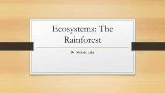 Ecosystems: The  Rainforest  By: Melody Laky  What is an Ecosystem?  A unique environment where