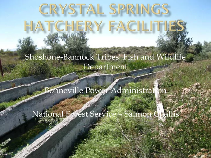 shoshone bannock tribes fish and wildlife department