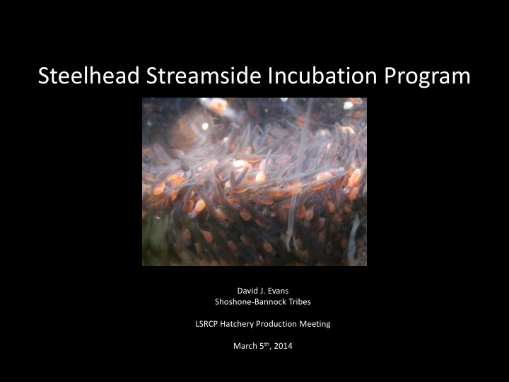 steelhead streamside incubation program