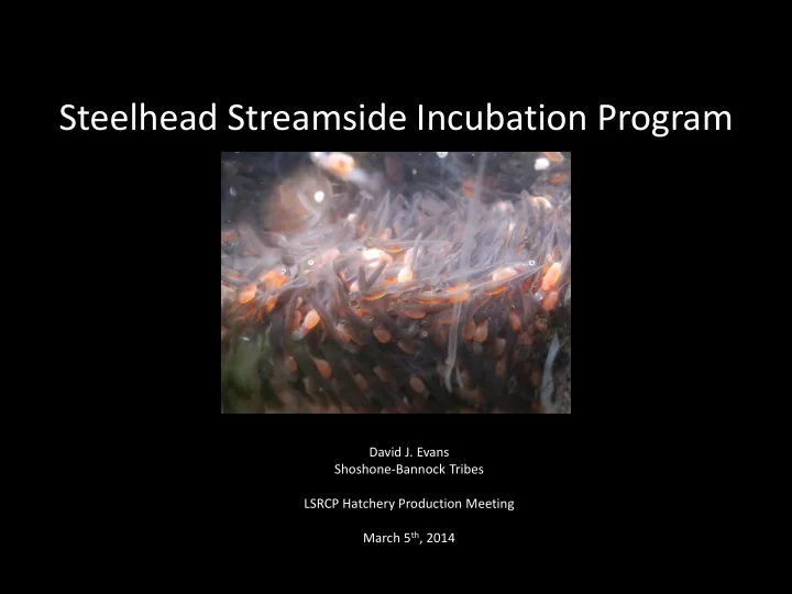 steelhead streamside incubation program